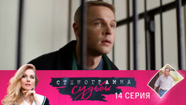 Серия 14