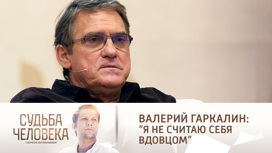Эфир от 21.11.2017. Валерий Гаркалин