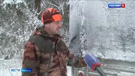 Диких обитателей рязанских лесничеств подкармливают на зиму
