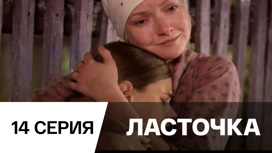 Серия 14