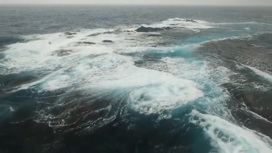 Температура мирового океана повысилась до рекордных значений