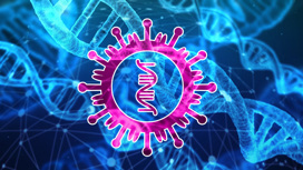 Генетические механизмы защиты от нового коронавируса могут послужить подспорьем в разработке новых методов лечения этого опасного заболевания.