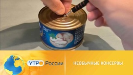 Чудо в жестяной банке, или кулинарные эксперименты с консервами