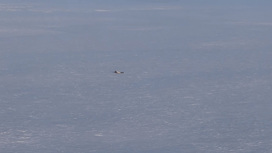 В тундре найдены отделяющиеся детали ракеты «Союз-2»