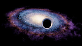 Чёрные дыры проявляют себя лишь сильнейшим гравитационным воздействием на окружающие их видимые космические объекты.