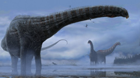 Динозавры тоже чихали: впервые найдены признаки лёгочной инфекции завропода