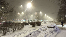 В Петербурге выпала декабрьская норма снега