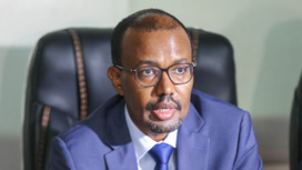 В Сомали на министра иностранных дел напали во время ужина