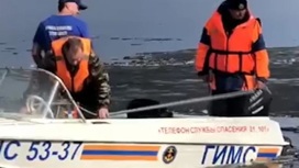 На озере Селигер спасли дрейфующую на льдине собаку