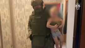 Освобождение оказавшегося в заложниках у отца мальчика попало на видео