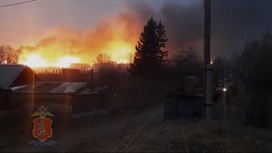 Лесной пожар перекинулся на дачи в Канске Фото: МВД Красноярского края