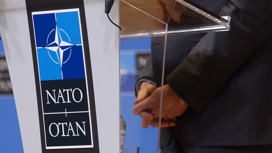 Действия Парижа могут привести к прямому столкновению НАТО и РФ