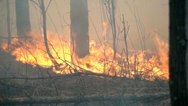 Лесные пожары: режим ЧС и самое настоящее пекло