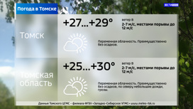 До 29 градусов тепла ожидается в Томске в среду