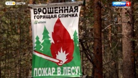 В лесах Архангельской области обустраивают места отдыха