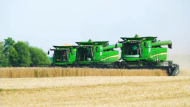 Рекордный урожай: Россия обеспечит зерном себя и партнеров