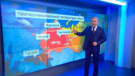 Аномальная июльская жара придет в европейскую часть России