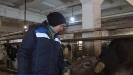 В Костромской области семейные фермы начали получать гранты