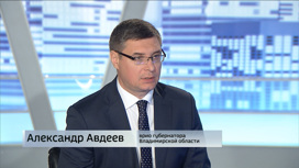 Об итогах экономического форума в Санкт-Петербурге рассказал Александр Авдеев