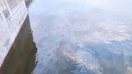 Специалисты МЧС зафиксировали загрязнение Волги у берега в Астрахани