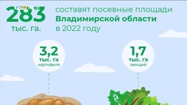 Владимирский регион в 2022 году увеличил площади посевов
