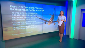 Правительство РФ подготовило комплексную программу развития авиатранспорта