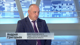 Андрей Григорьев, директор департамента труда Владимирской области