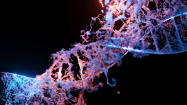 Технология CRISPR позволяет изменять фрагменты ДНК с невиданной ранее скоростью и эффективностью.