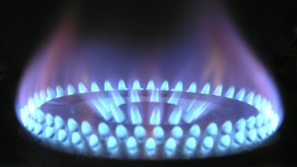 Правительства Германии и Великобритании предупреждают о нормировании газа