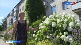 Костромичка превратила чернореченский двор в большой цветник