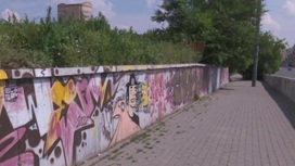 Испортили памятники и мосты: серию нападений вандалов расследуют в Челябинске