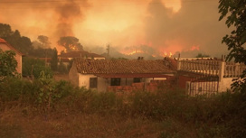Европа горит: природные пожары охватили множество стран