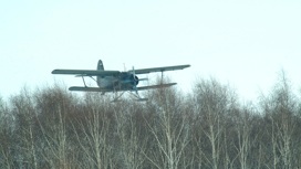 На Кубани разбился самолет Ан-2