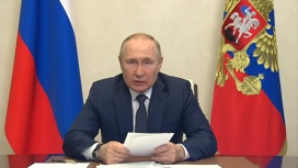 Владимир Путин поручил разобраться с трудностями Ozon и "Яндекса"