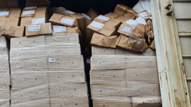 Больше 20 тонн гнилой мясной продукции привезли для амурских торговцев