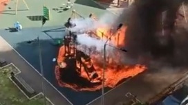 Детская площадка сгорела в Раменском