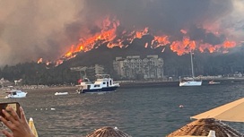 Масштабный пожар в курортном Мармарисе попал на видео
