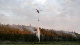 18 природных пожаров потушено за минувшие сутки в Якутии