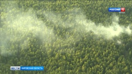 Парковом лесничестве Кировской области летчик-наблюдатель заметил огонь