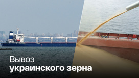 Украинское зерно плывет из Одессы в Триполи