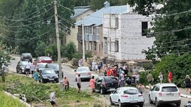 Женщину убило упавшим деревом в Ярославской области