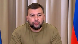 Пушилин объяснил, зачем Сигал приехал в Донбасс