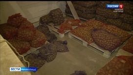 Картофель с повышенным содержанием нитратов обнаружили в Нижегородской области