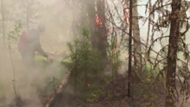 Минэкологии рассказало, сколько в Челябинске продержится дым от пожаров в ХМАО