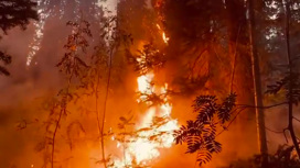 Сотрудники нацпарка Челябинской области помогли потушить лесной пожар в Коми