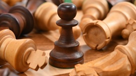 Роковой мат: 62-летний сибиряк зарезал соперника по шахматной партии за обман во время игры