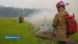 За первые 10 дней августа в лесах Якутии ликвидировано свыше 150 очагов