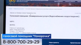 "Поморочка" – так называется региональный  голосовой помощник губернатора Архангельской области