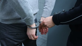 Наркодилер из Владимирской области приговорен к 11 годам лишения свободы