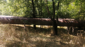 На Ставрополье при расчистке коллектора пострадают сотни деревьев